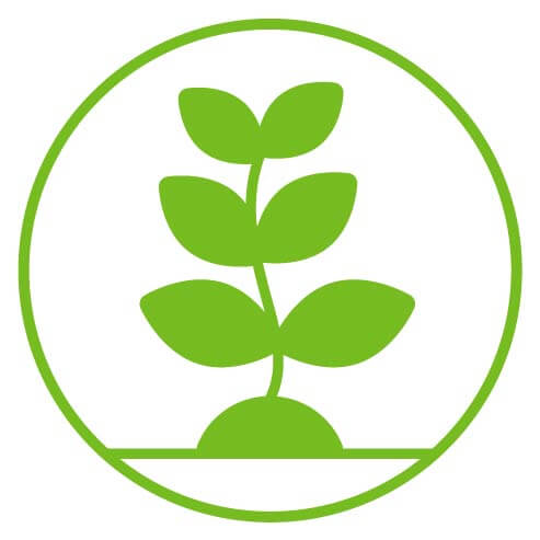 Growth - Missions and Goals | KidsBlanks by Zoe